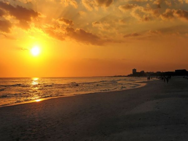 Siesta Key Condo 1028886