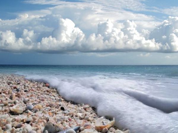 Sanibel Condo 1028904