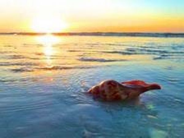 Sanibel Condo 1028904