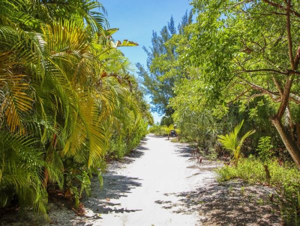 Sanibel Condo 1028908