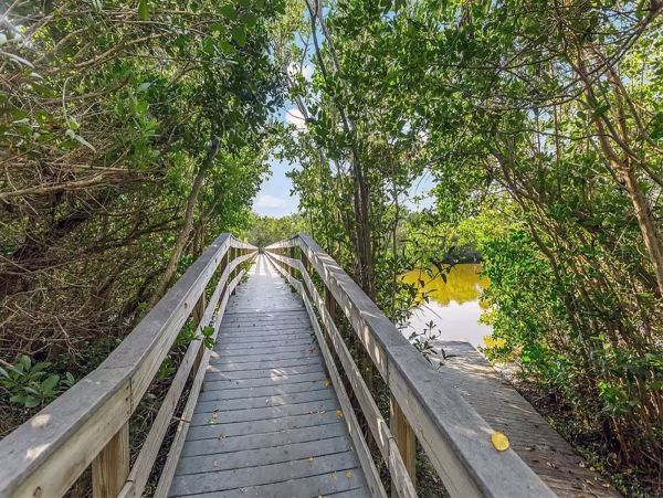 Sanibel Condo 1028916
