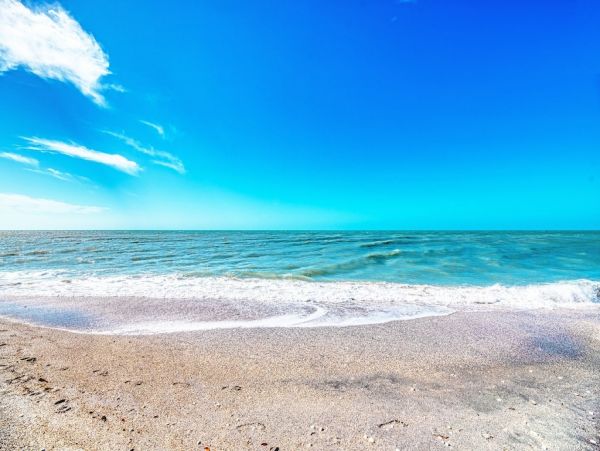 Sarasota Home 1028927