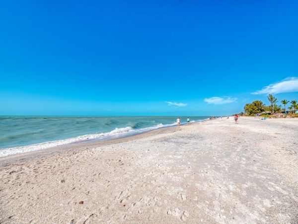 Sarasota Home 1028927