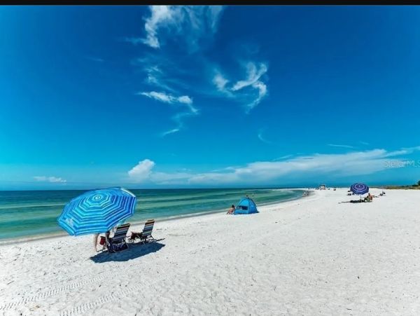 Sarasota Vacation Rental - Luxury Modern Home with Gardens & Spa