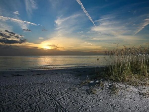 Sarasota Vacation Rental - Luxury Modern Home with Gardens & Spa