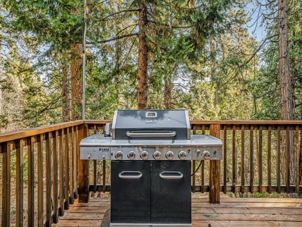 Yosemite Area Home 1028969