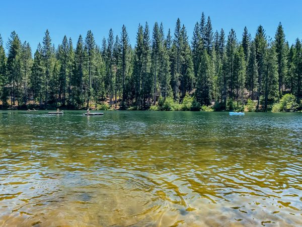 Yosemite Area Home 1028969