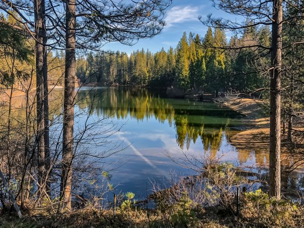 Yosemite Area Home 1028969