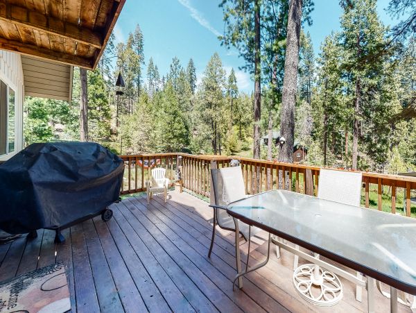 Yosemite Area Home 1028973