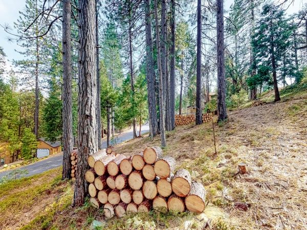 Yosemite Area Home 1028977