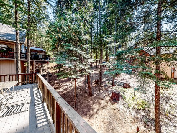 Yosemite Area Home 1028978