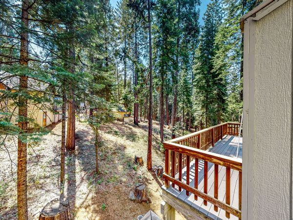 Yosemite Area Home 1028978