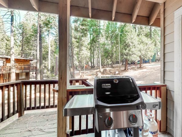 Yosemite Area Home 1028979