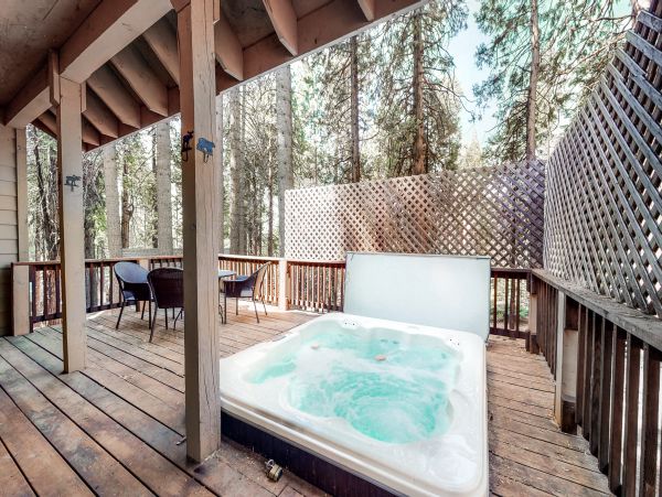 Yosemite Area Home 1028979