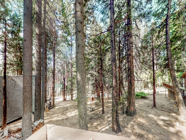 Yosemite Area Home 1028979