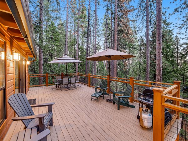 Yosemite Area Home 1028980