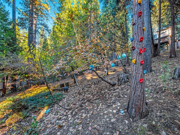 Yosemite Area Home 1028981