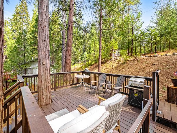 Yosemite Area Home 1028982