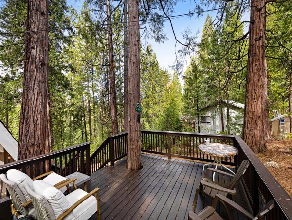 Yosemite Area Home 1028982