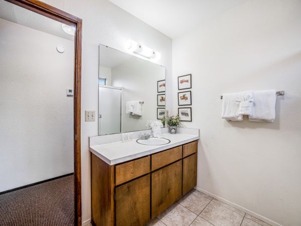 Yosemite Area Home 1028983