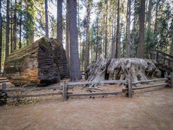 Yosemite Area Home 1028984