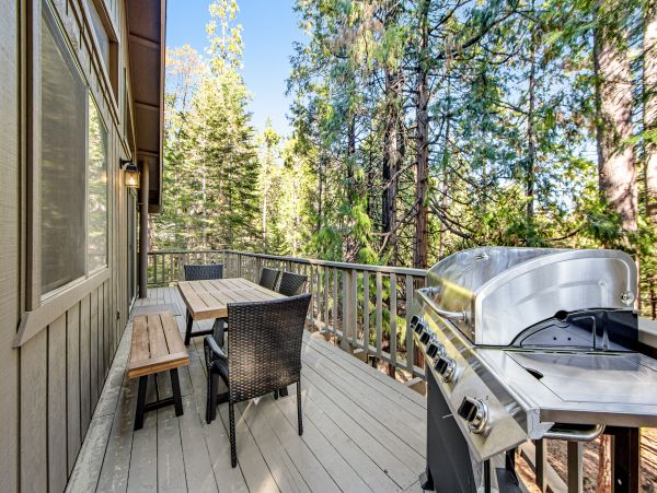 Yosemite Area Home 1028985