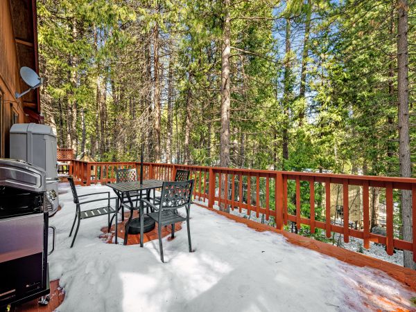 Yosemite Area Home 1028986