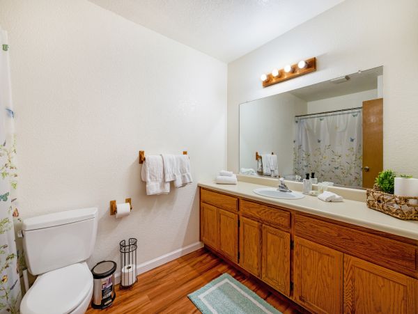 Yosemite Area Home 1028986