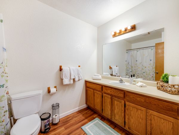 Yosemite Area Home 1028986