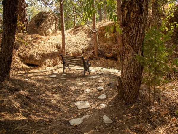Yosemite Area Home 1028989