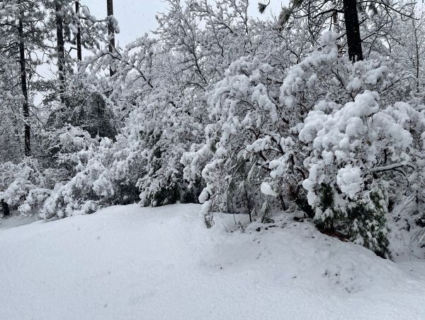 Yosemite Area Home 1028989