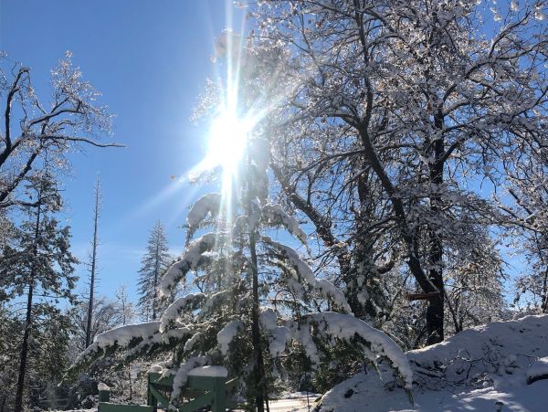 Yosemite Area Home 1028989