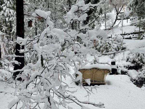 Yosemite Area Home 1028989