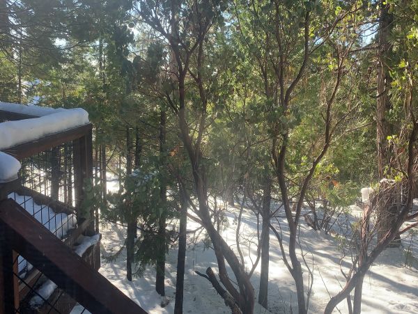 Yosemite Area Home 1028992