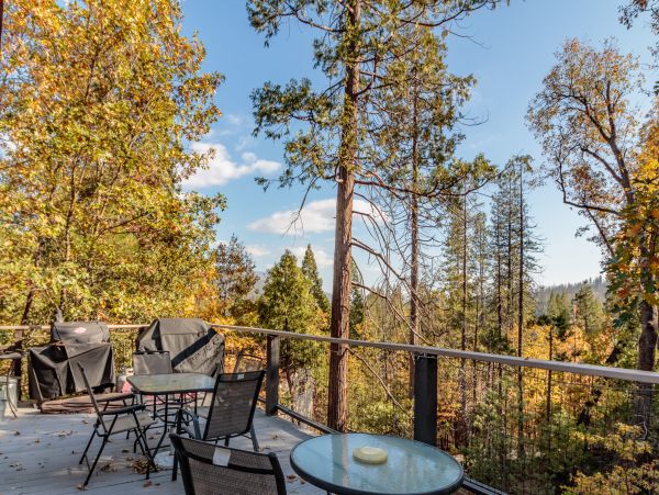 Yosemite Area Home 1028994