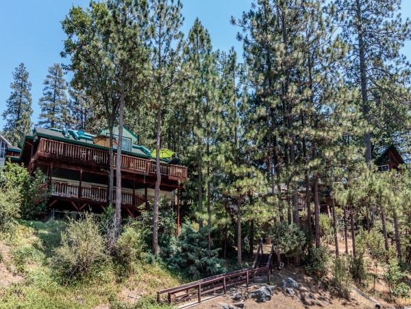 Yosemite Area Home 1029003