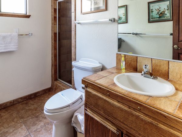 Yosemite Area Home 1029009