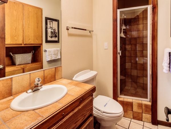 Yosemite Area Home 1029009
