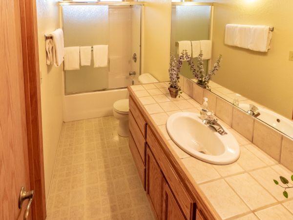 Yosemite Area Home 1029024