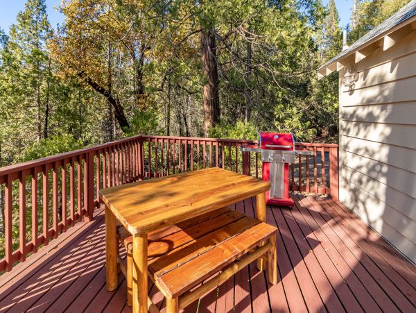 Yosemite Area Home 1029025