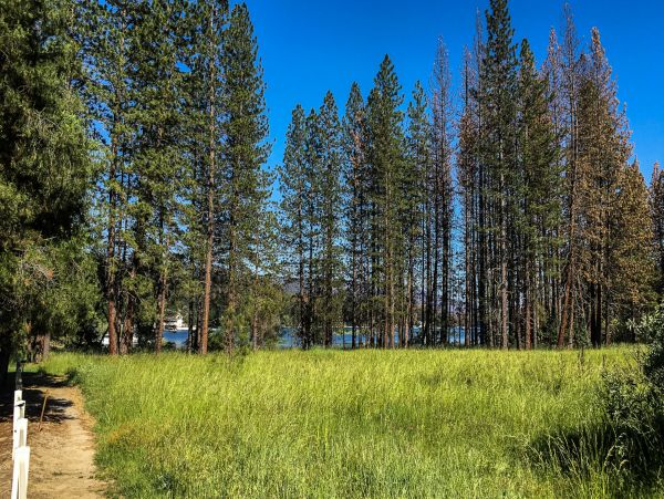 Yosemite Area Home 1029026