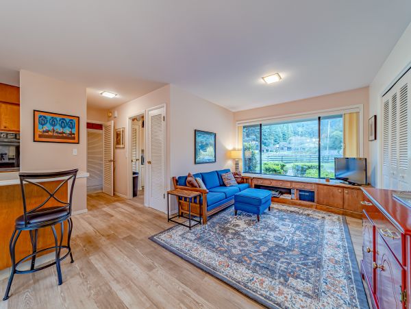 Yosemite Area Home 1029030