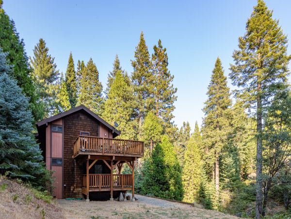 Yosemite Area Home 1029035