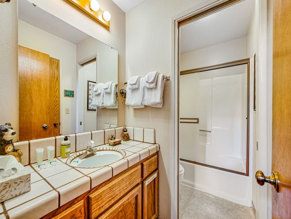 Yosemite Area Home 1029038