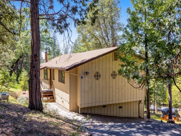 Yosemite Area Home 1029039