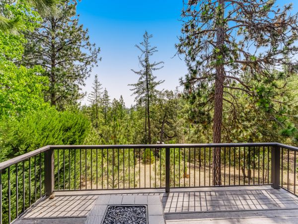 Yosemite Area Home 1029044