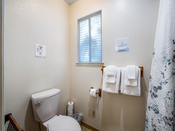 Yosemite Area Home 1029047