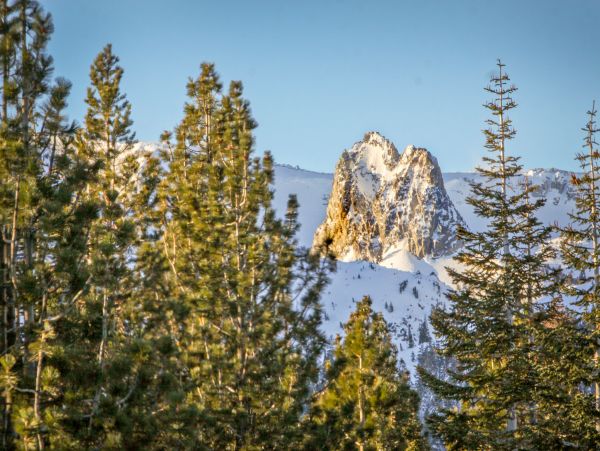 Yosemite Area Home 1029056
