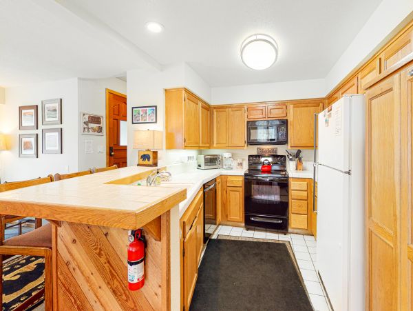 Yosemite Area Home 1029058