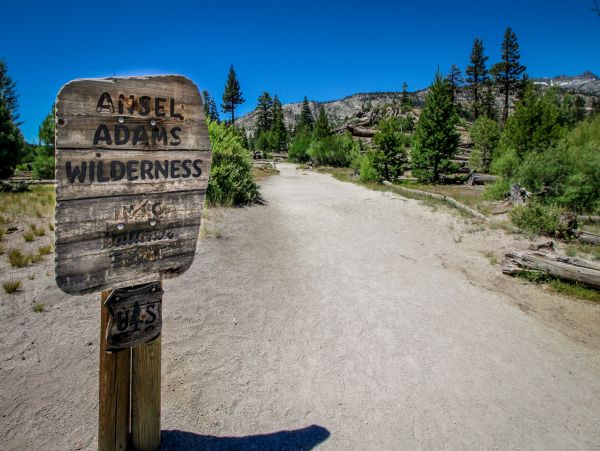 Yosemite Area Home 1029060